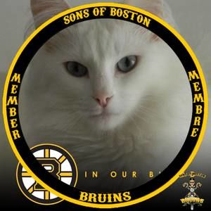 Meet your Posher, Bob